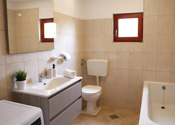 Apartman Family-friendly With Swimming Pool Radasinovci, Biograd - 22312 *